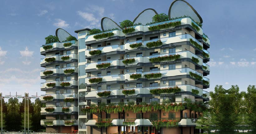 Dream Flower Magnum Opus Cover Image 